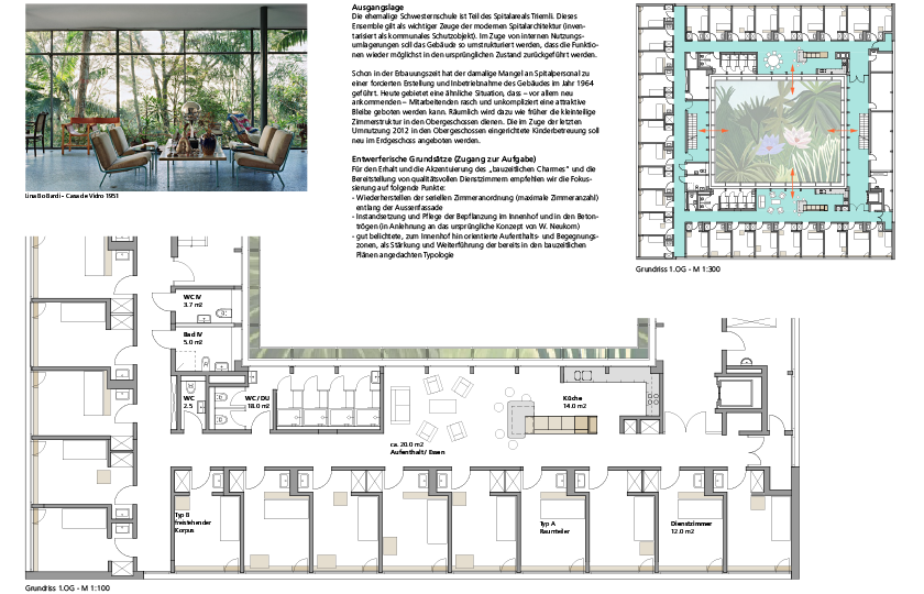 Planerwahlverfahren Triemli Haus 8: Seite 1